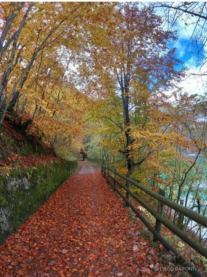 Ferienwohnung Colori Nel Parco Cesiomaggiore Exterior foto
